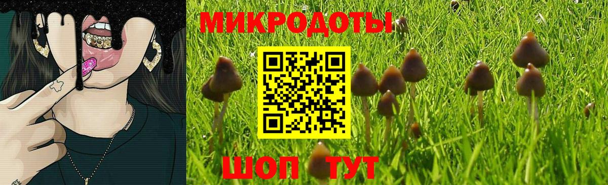 Псилоцибиновые грибы GOLDEN TEACHER Якутск