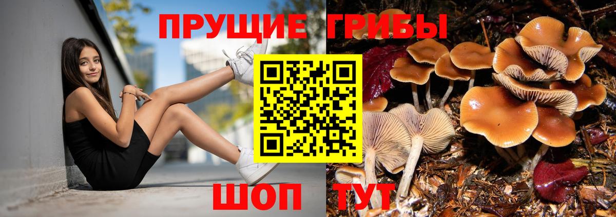 Псилоцибиновые грибы Psilocybine cubensis  Галлюциногенные грибы Cubensis  Вход с VPN  Якутск 